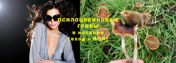 тгк Баксан