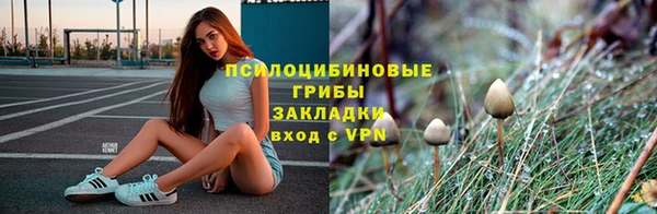 гидропоника Балахна