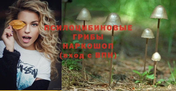 мдма Белокуриха