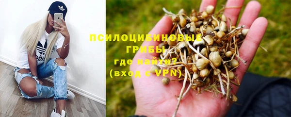 гидропоника Балахна
