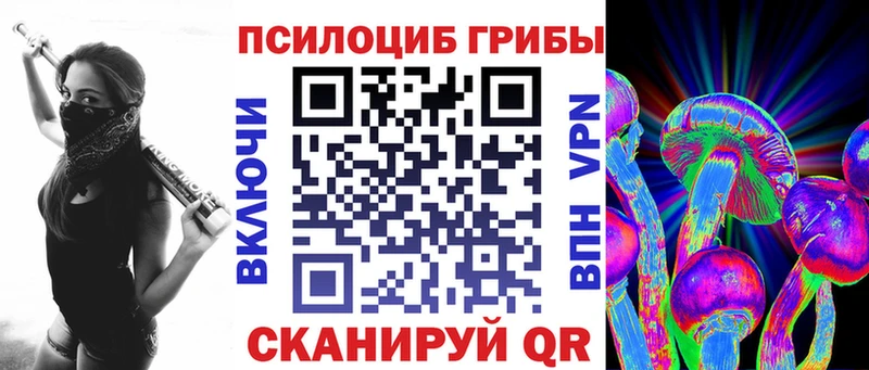 Псилоцибиновые грибы Psilocybe  даркнет наркотические препараты  Кораблино  mega зеркало 