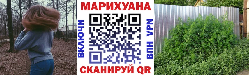 МАРИХУАНА план Кораблино